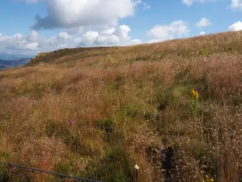 Le Grand Ballon (Frankrijk)